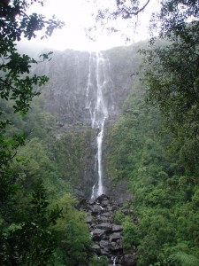 The Wairere Falls from below...